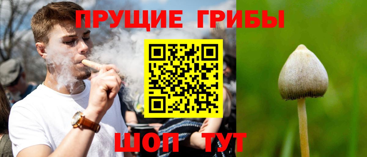 Галлюциногенные грибы Cubensis Чусовой
