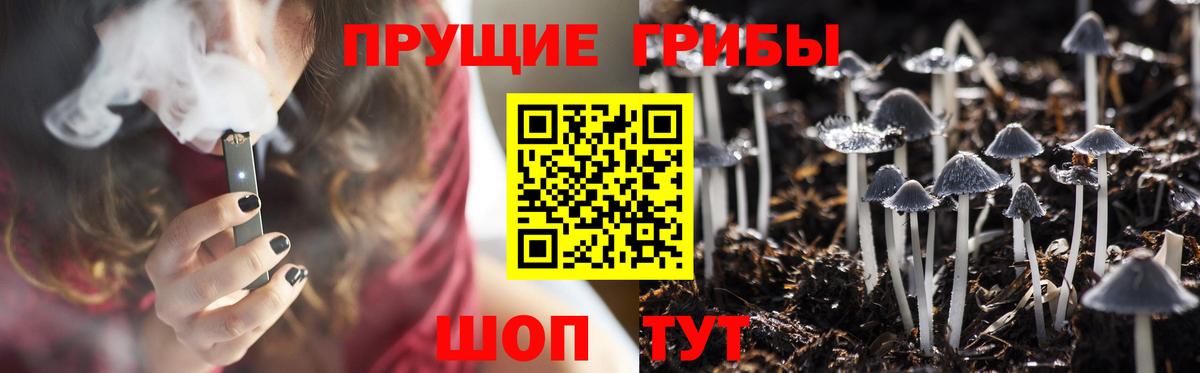 Псилоцибиновые грибы Cubensis  Вход с VPN  Псилоцибиновые грибы мухоморы  Чусовой 